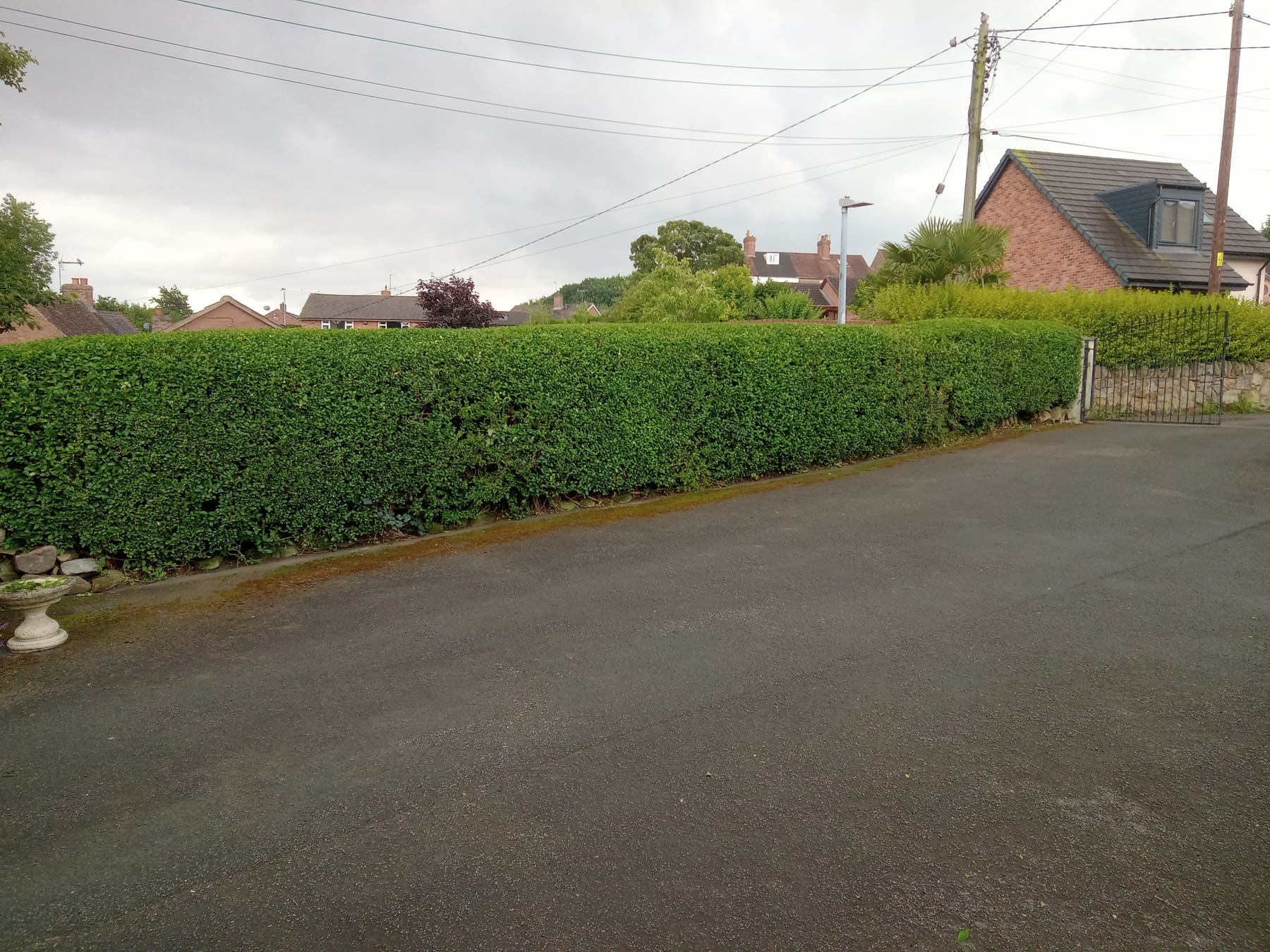 Neatly trimmed hedge along a driveway