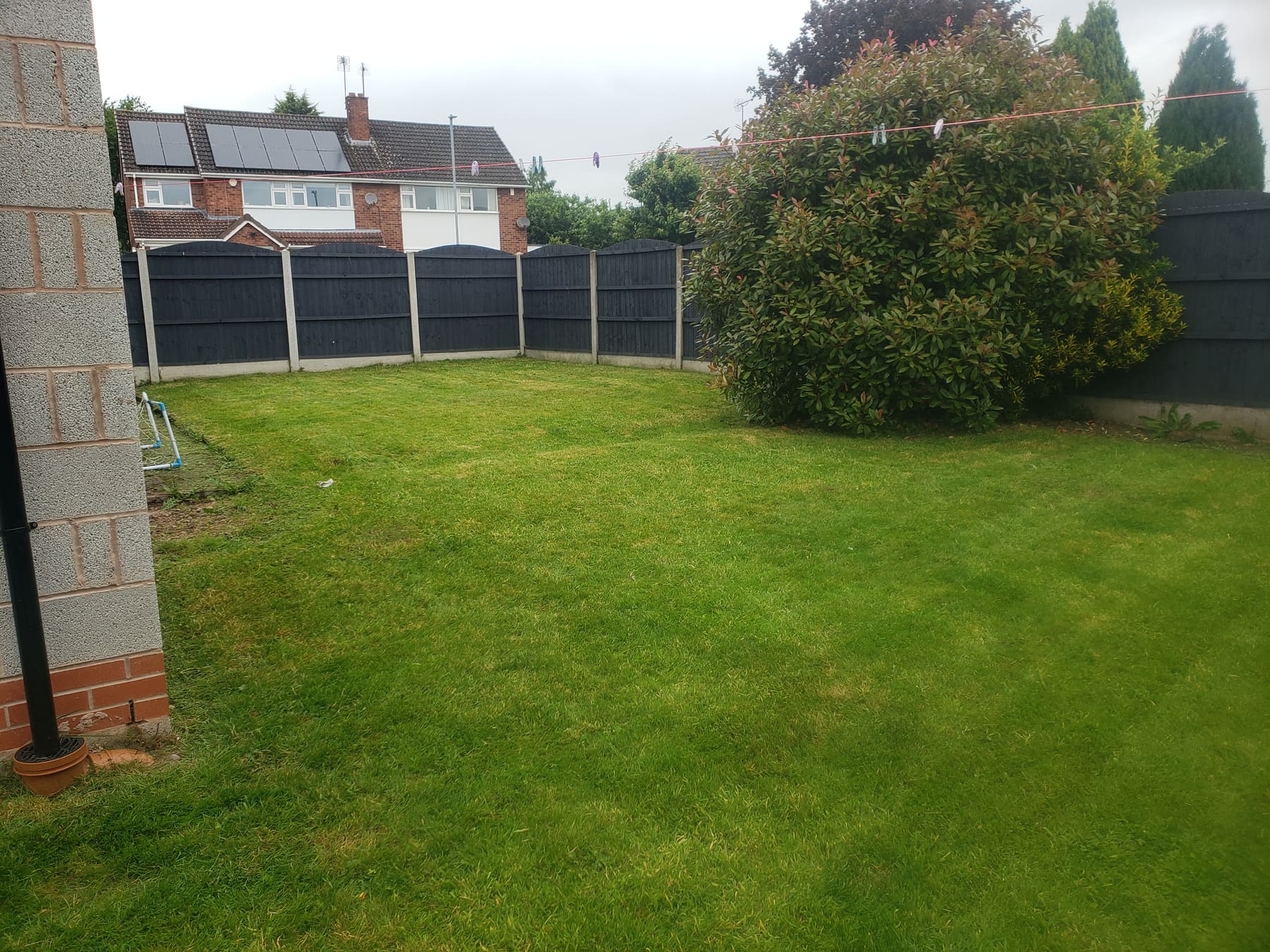 Neatly mown lawn corner in a fenced garden