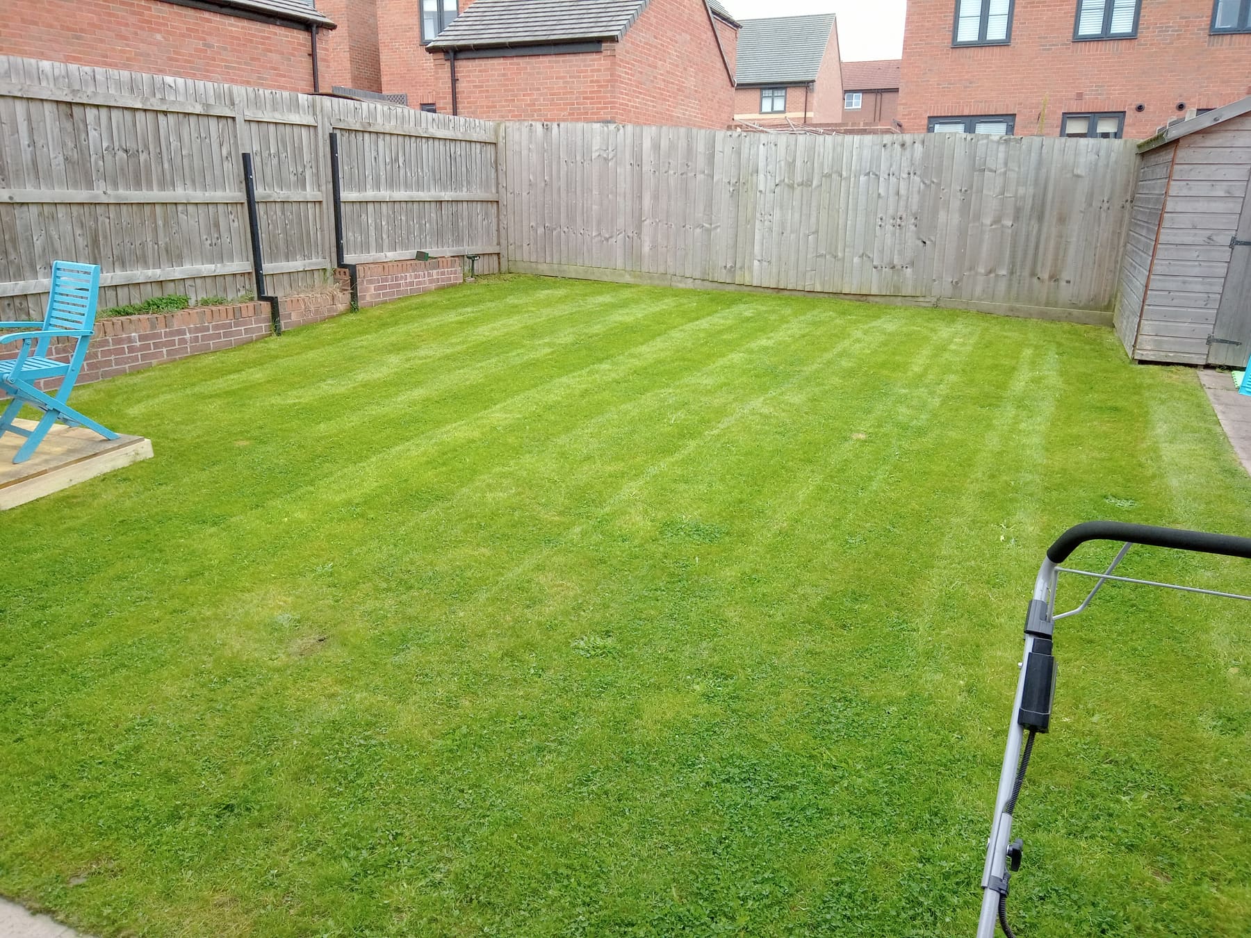 Freshly striped lawn in a fenced back garden after mowing